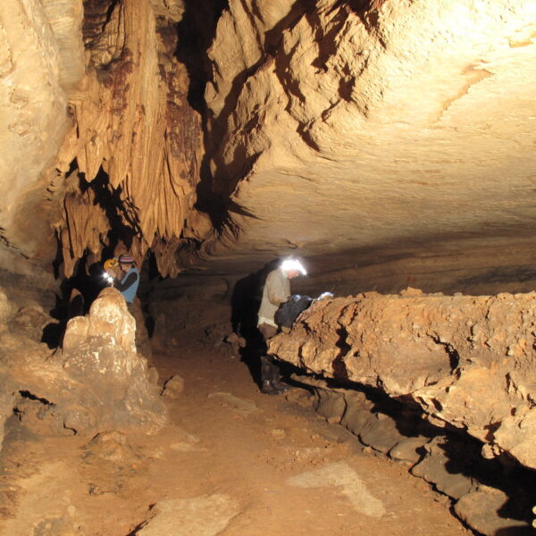 130916 stalagmites P