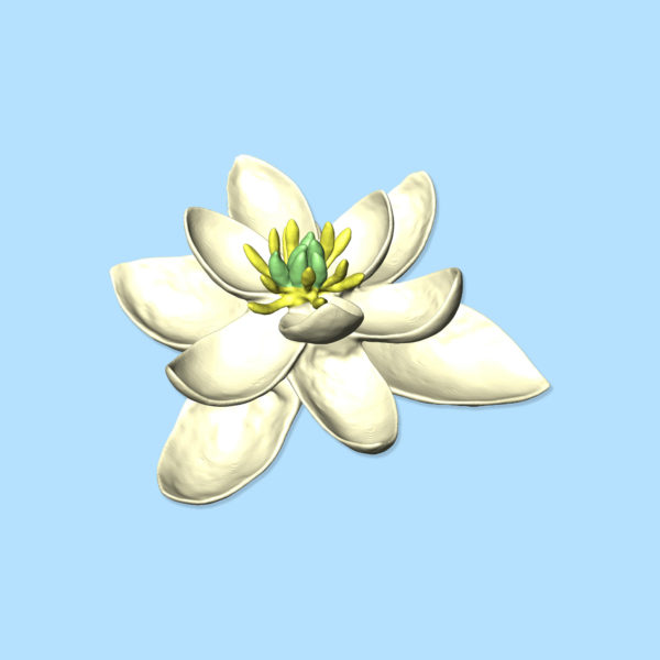170808 Flower Thumb
