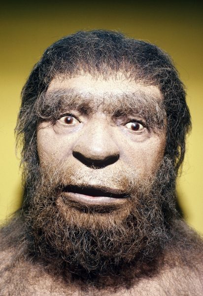 171006 Neanderthal Full