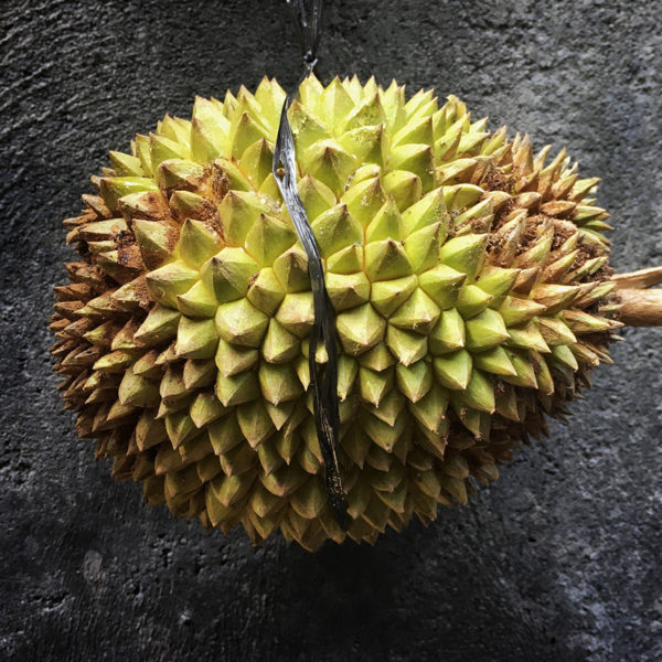 171009 durian Thumb
