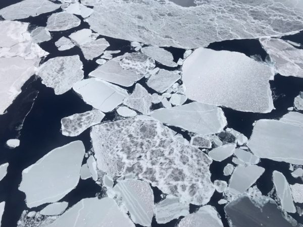Many broken sea ice floes with interesting colour variations spotted during Operation IceBridge’s first flight of the 2017 Antarctic campaign.