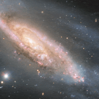 180913 NGC3981 thumb