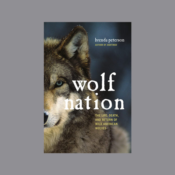 C74 wolf nation review P
