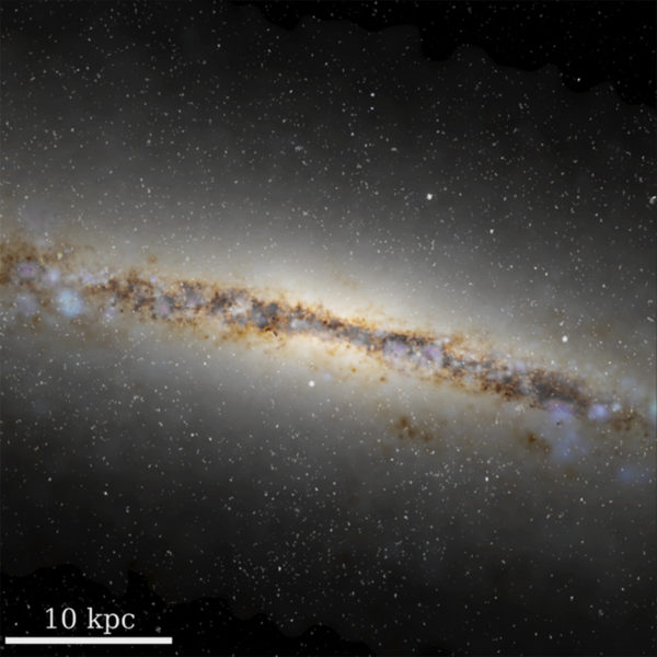 A snapshot of the m12m Latte galaxy simulation.