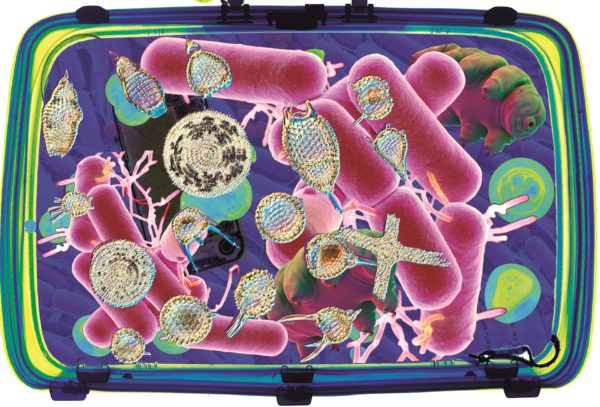 Microbes in suitcase f