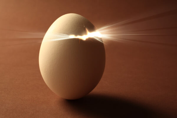 180403 Eggs 1