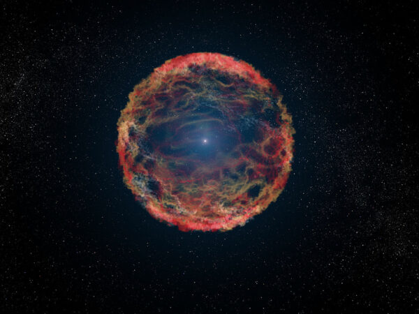 180403 supernova 1993J 1