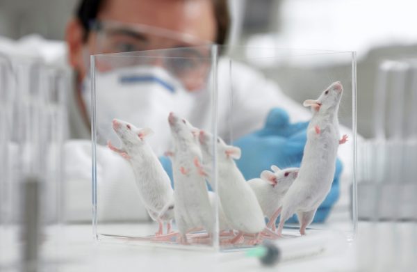 190522 lab mice full