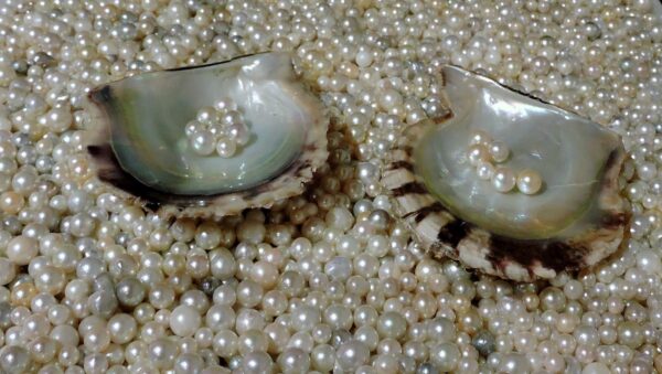 190917 Pearls full