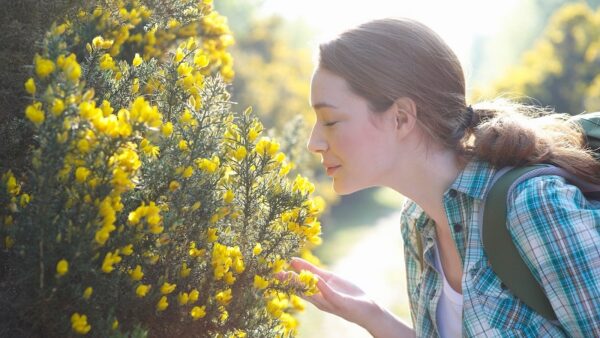 Can people develop a sense of smell? New research suggests it’s an idea worth exploring.