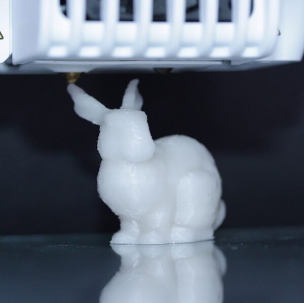 191210 3D bunny