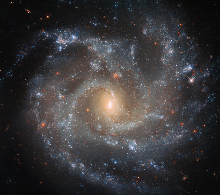 space telescopes zoom in on how fast the cosmos is expanding 1 A spiral galaxy.