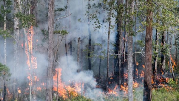 200926 bushfire smoke 1