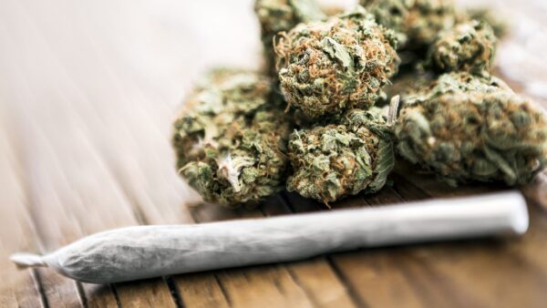 marijuana buds and joint