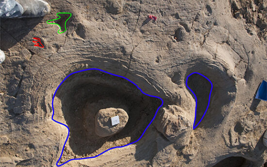 190218 dinosaur trackway found in Queensland dinosaur footprints e1604627020909