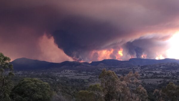 200205 394 experts sign join letter Planet Canberra bushfire 200129 credit Prof Eelco Rohling