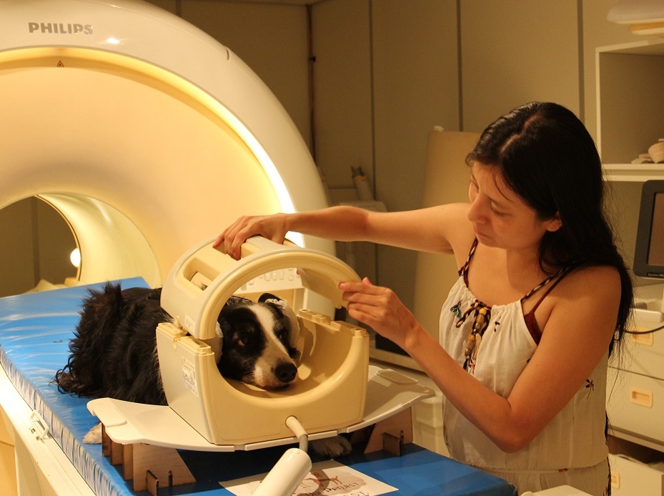 201007 Dog MRI 1