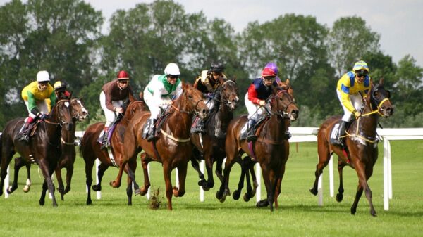 201203 Horse racing 1
