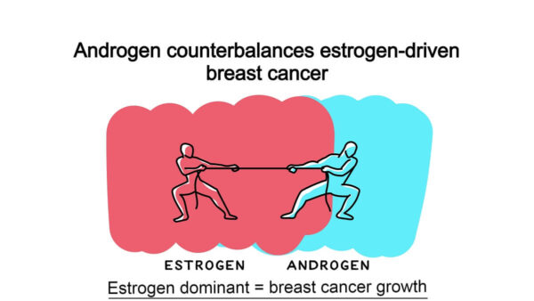 EstrogenAndrogen1