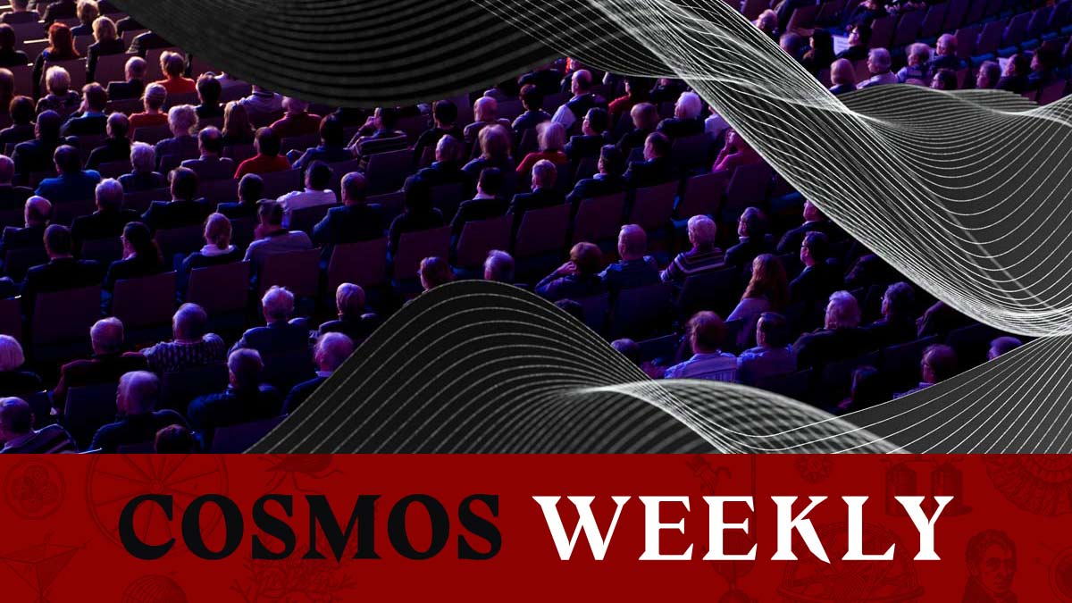 Montage of illustrated sound waves over a picture of an audience at a concert.