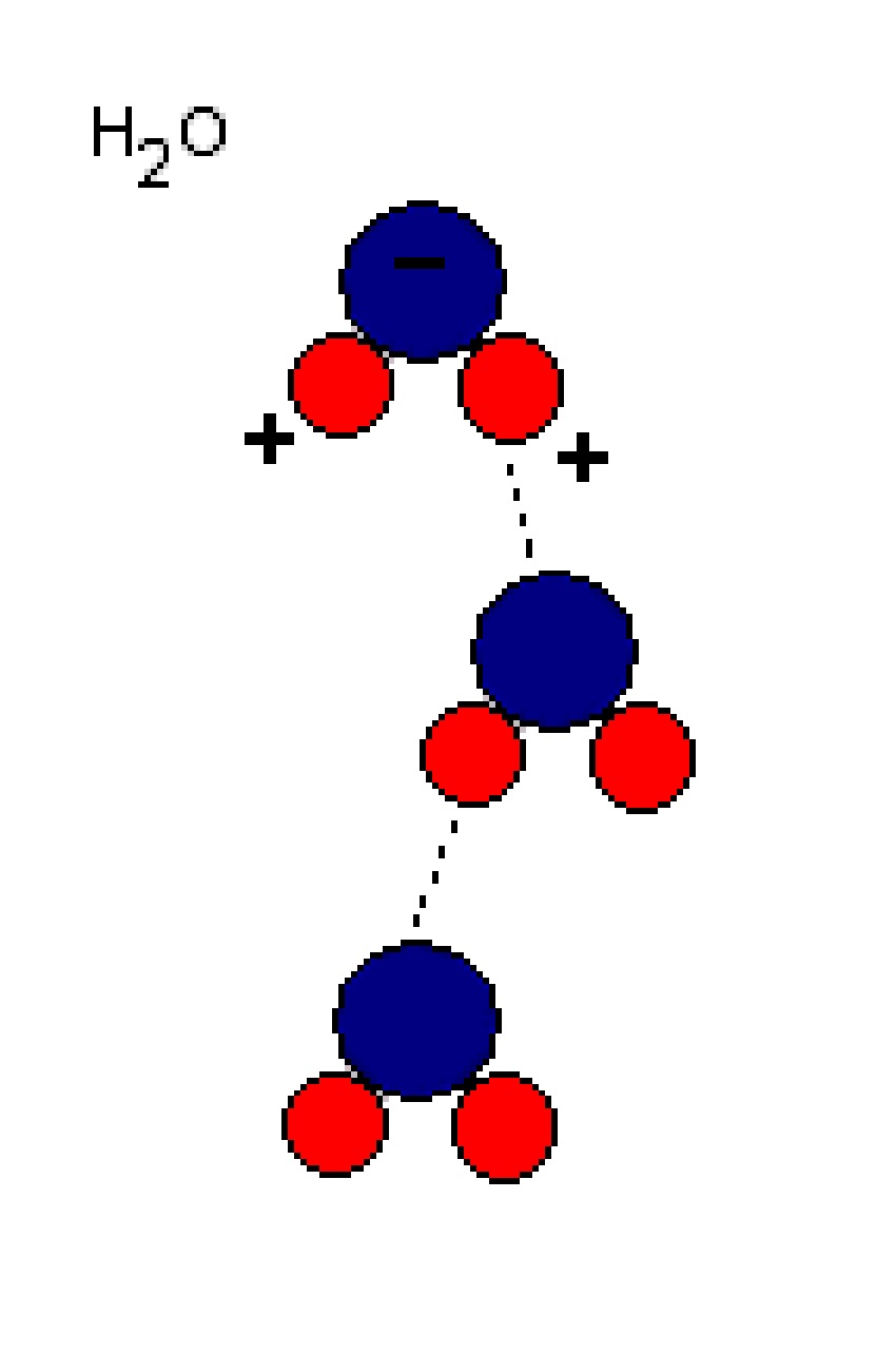can quantum tug-of-war explain water’s weirdness? 1 Diagram of interactions between water molecules