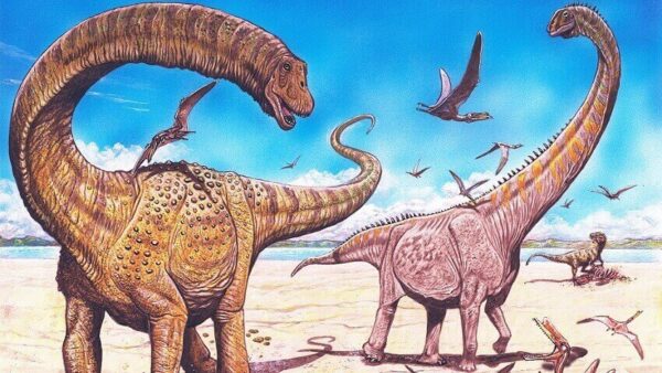 Two huge long neck dinosaurs, One is orange and one is pink with orange stripes on its neck. There are pterosaurs sitting on the ground