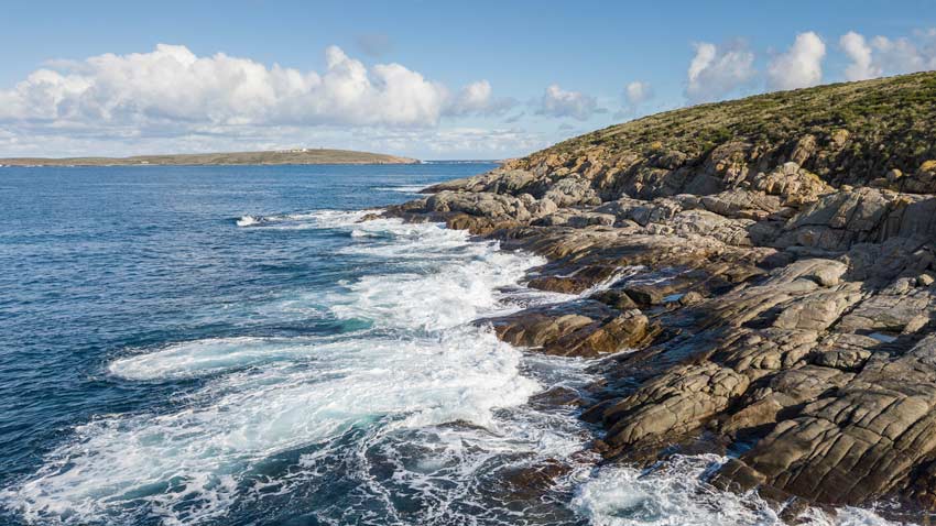 shark-bait tourism 1 Neptune islands landscape popular shark tourism destination