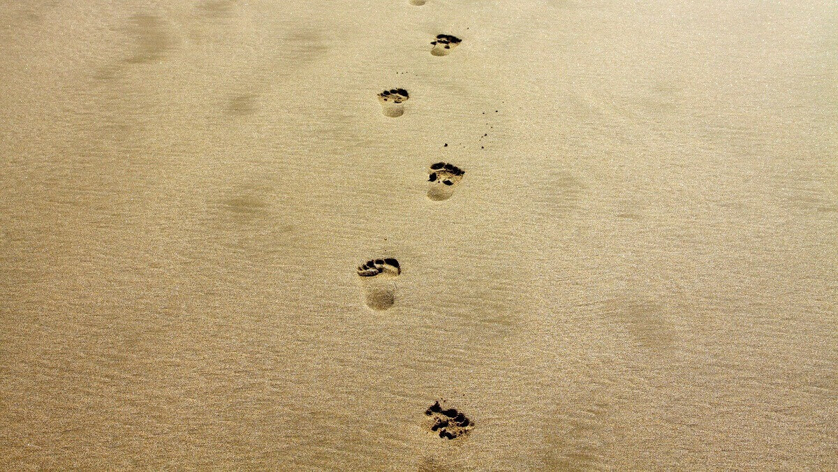 footprints in the sand