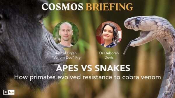 Cosmos Briefing Apes vs Snakes1