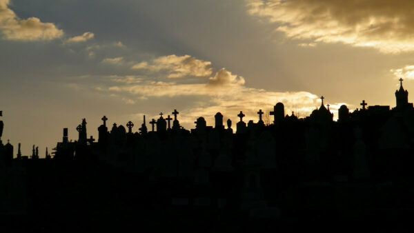 Waverley cemetery at sunset