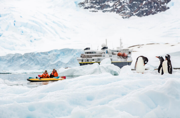 antarctic tourism penuings in foreground and a cruise ship and kayaking tourists in background