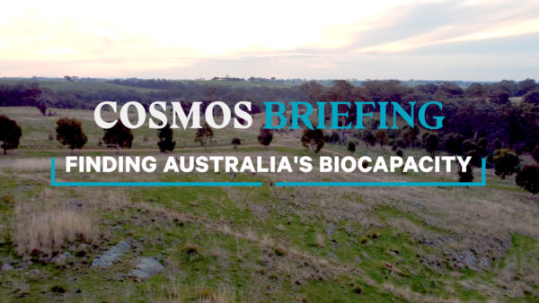 Cosmos Briefing - Ecological Footprint