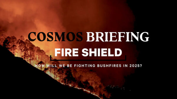 fire shield artwork a background photo of a bushfire with text Cosmos Briefin: Fire Shield: how will we be fighting bushfires in 2025