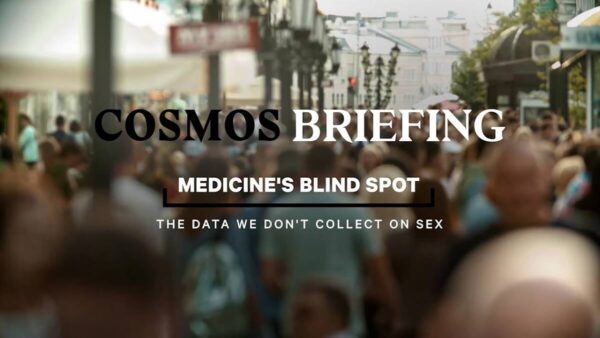 photo of a street with "Cosmos Briefing: Medicine's Blind Spot: The data we don't collect on sex" superimposed over the top