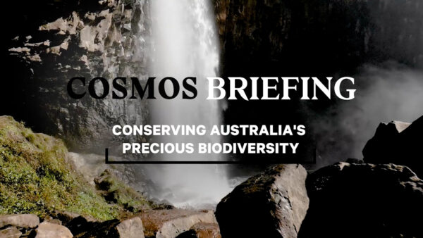 Australia's biodiversity