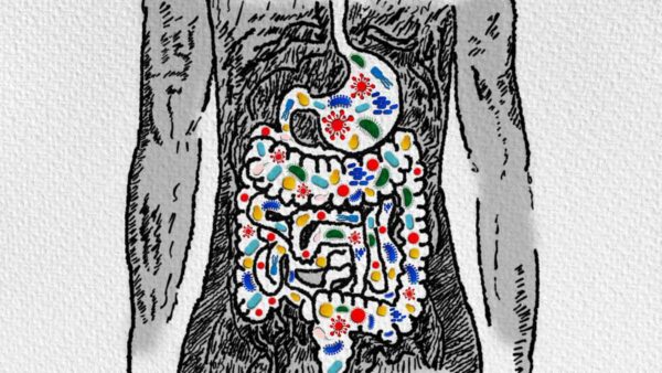 antibiotics impact on gut microbiome concept an illustration of diverse bacteria in the human gut