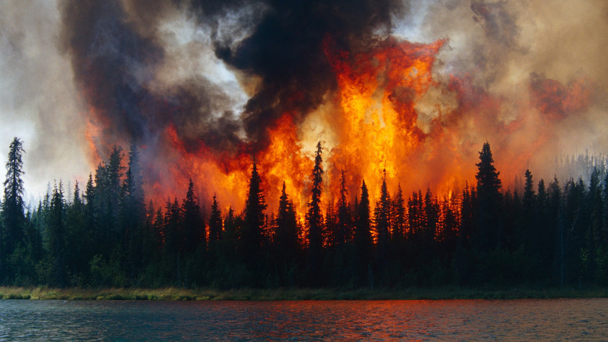 wildfires and thunderstorms: complex interconnections spawned by climate change 4 Wildfires