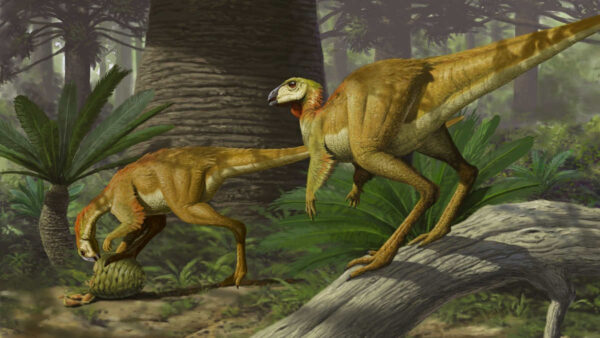 reconstruction-of-opalised-dinosaur-fossil