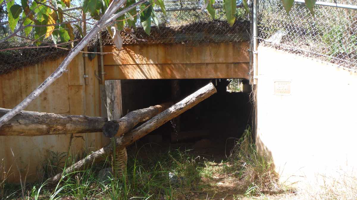 Dedicated wildlife underpass at Port Macquarie NSW Fig2a Credit Goldingay Taylor Parkyn 1