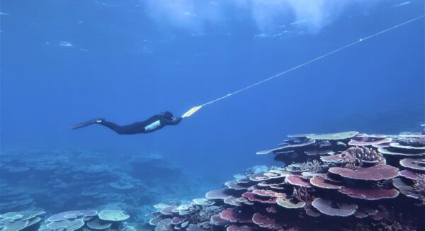 Great Barrier Reef survey underway
