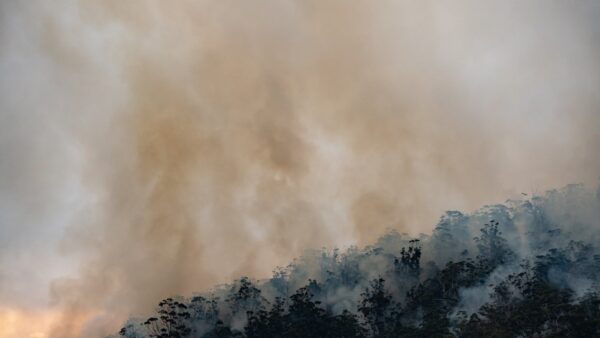 Bushfire smoke