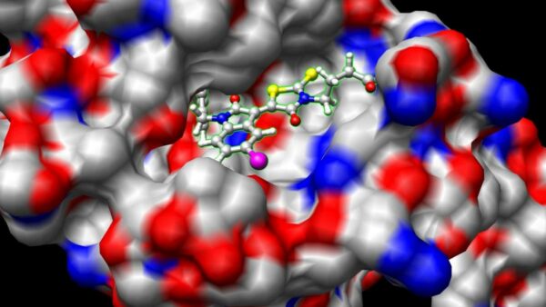 Computer simulation used in drug discovery