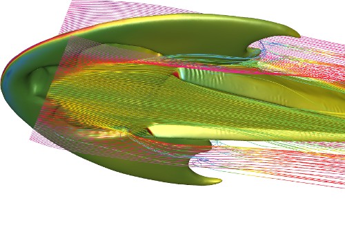 ancient-fish-reconstruction-showing-fluid-dynamics-of-paired-fins