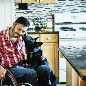 Dog with man in wheelchair