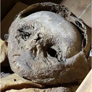 Photograph of mummy's face