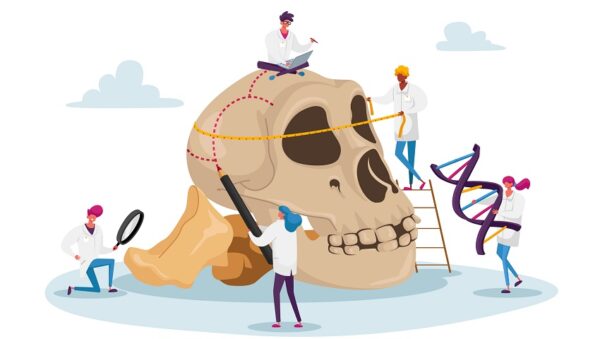 Ancient Anthropology Studying Concept. Tiny Characters Measuring Huge Human Skull with Bones and Dna Spiral. Paleolithic Research Educational Culture Exploration. Cartoon People Vector Illustration