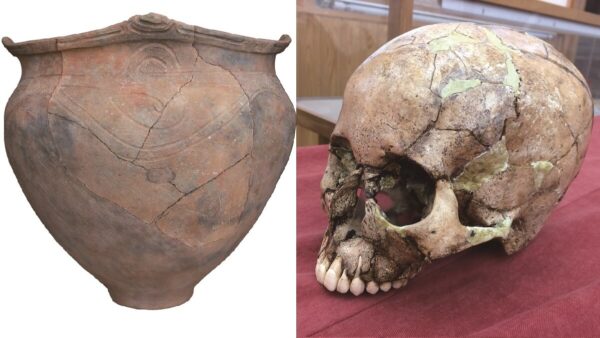 Jomon pottery from the Hirajo shell midden (Late Jomon) and a skull from which ancient DNA was extracted.