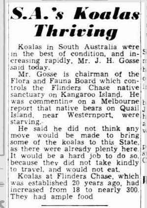 SAs koalas thriving. Adelaide News 18 November 1943 via Trove