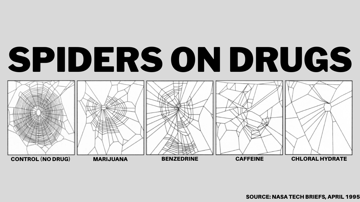 SPIDERS ON DRUGS