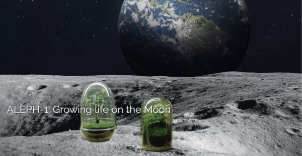 Image from Lunaria1 website of plants growing in glass chambers on the moon